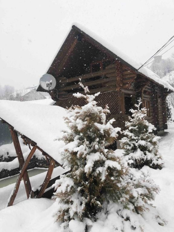 Дома для отпуска Wooden House Межгорье
